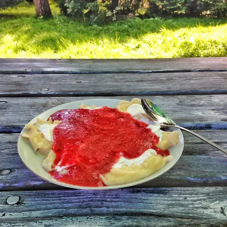 Pensjonat Drzewo Akaj Darłowo