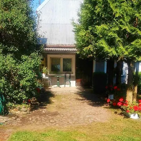 Drzewo Akaj *